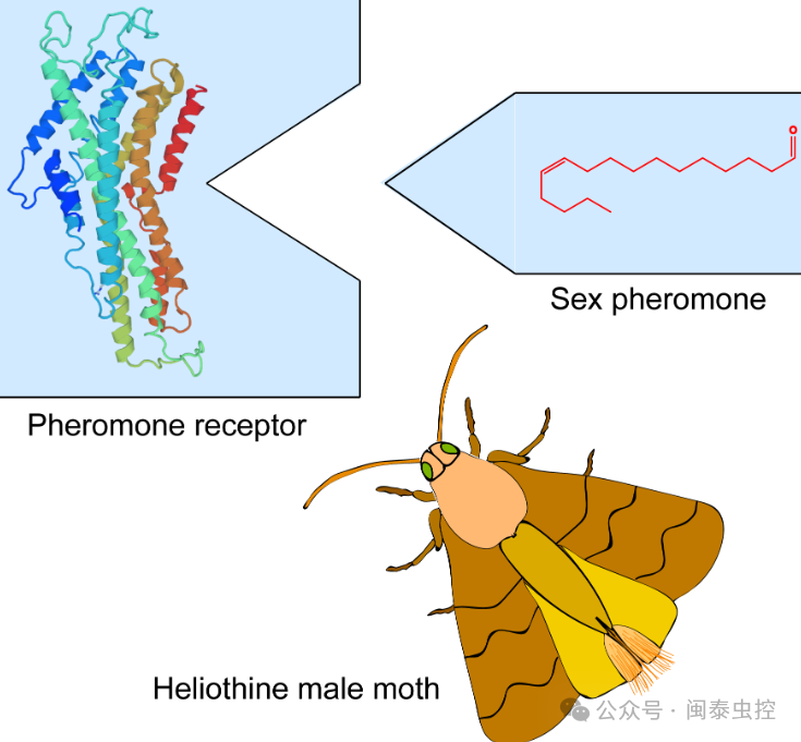 有害生物防制