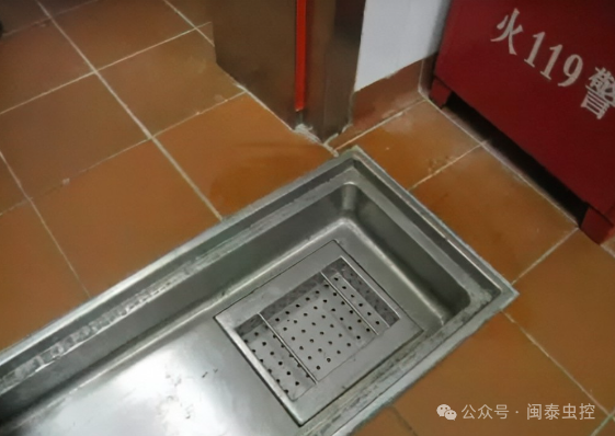除虫公司