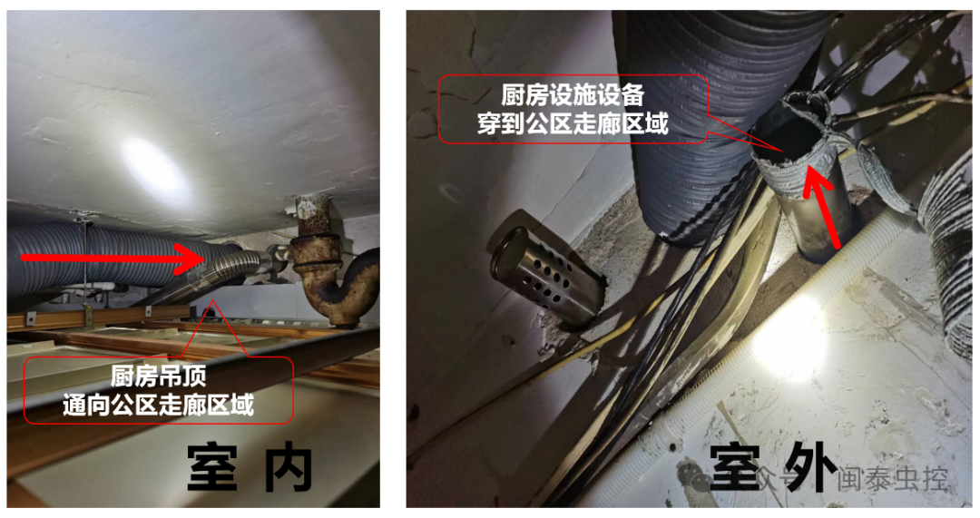 杀虫公司