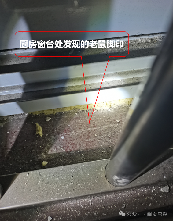 杀虫公司