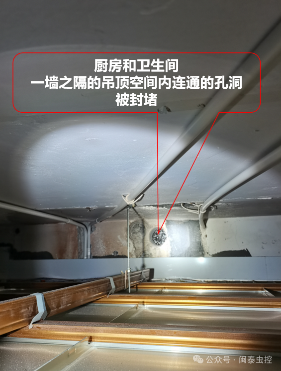 杀虫公司