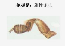虫害管理