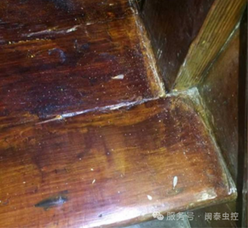 虫害防制