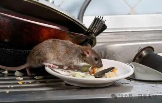 虫害管理