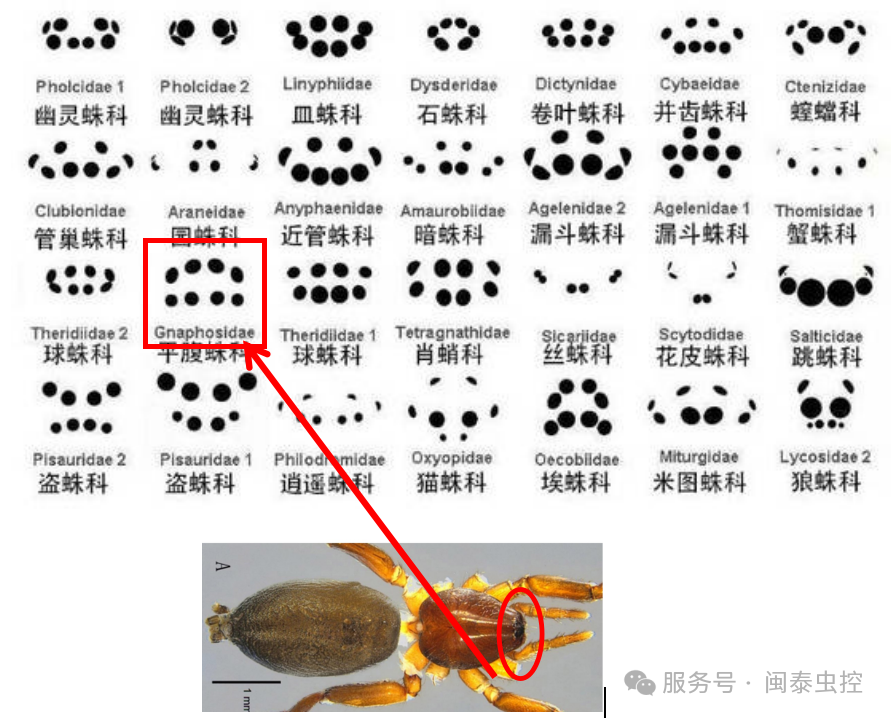 虫害防治