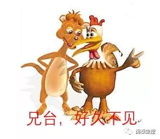 虫害控制