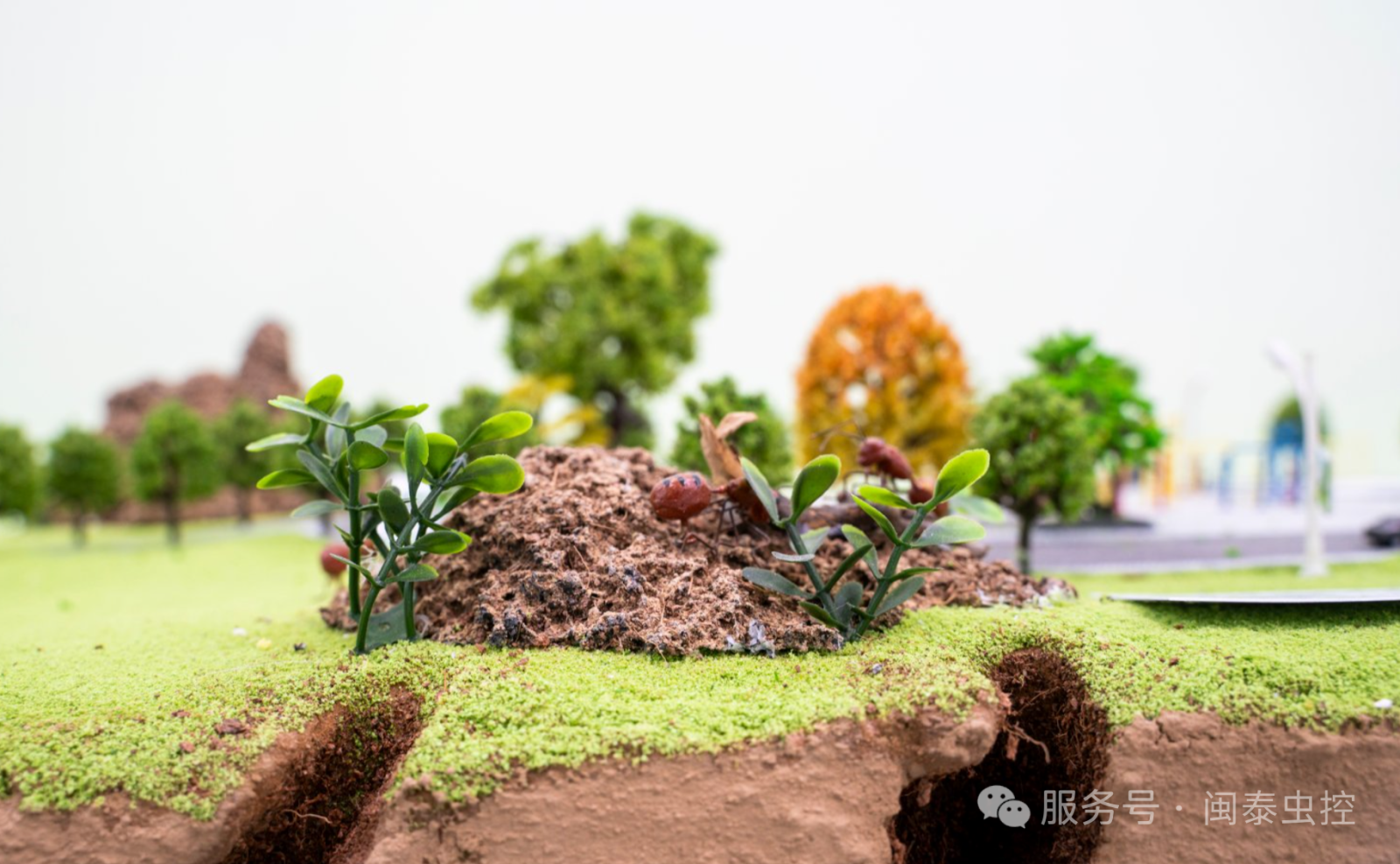 除虫公司