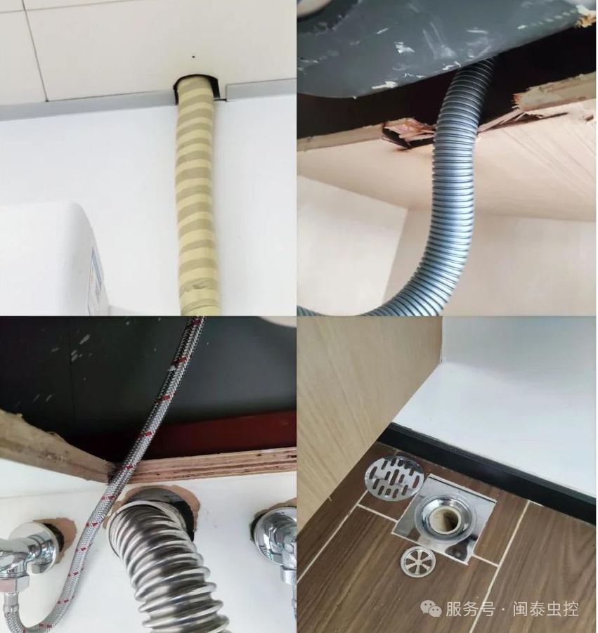 虫害防制
